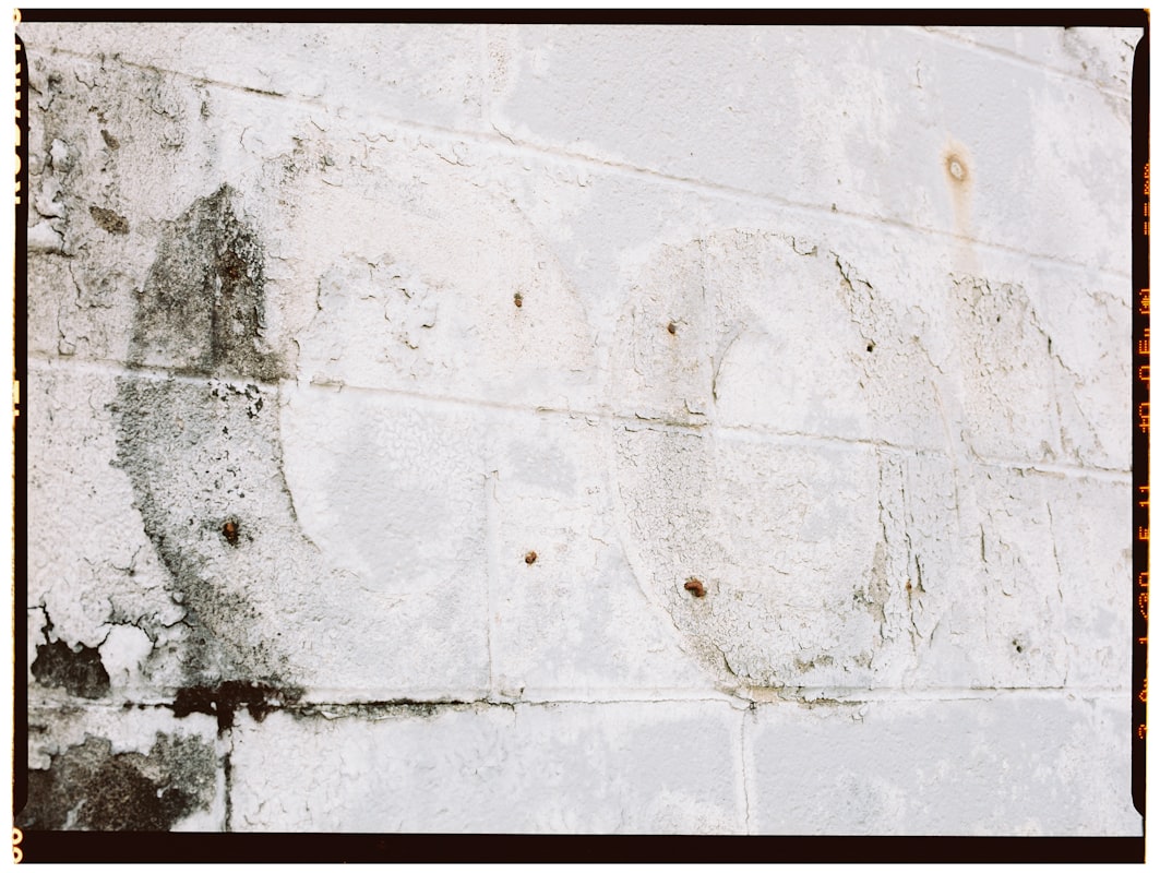 Mold Remediation service in Alexandria, VA